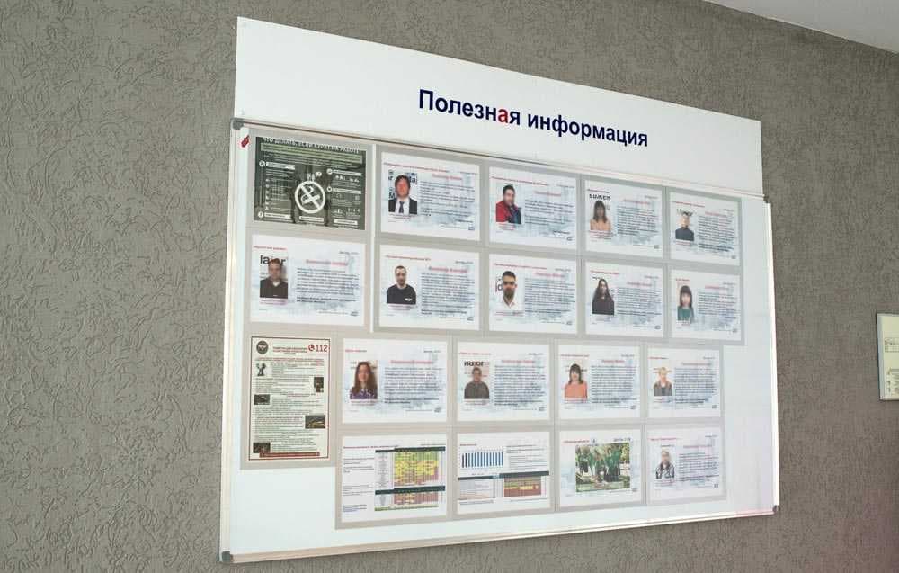 Логопарк MAJOR - 5 Логопарк MAJOR - 5